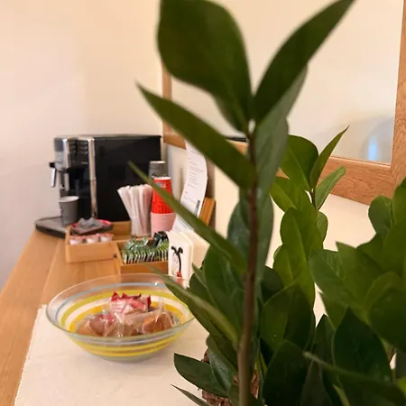 Casa Gantz 招待所 3*