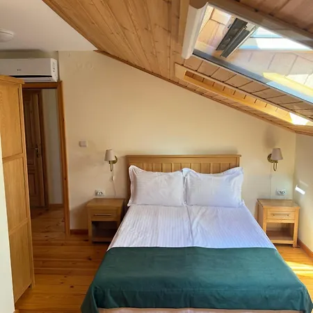 Casa Gantz 招待所 大特尔诺沃