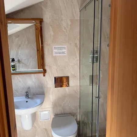 招待所 Casa Gantz 大特尔诺沃